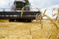 Agricultura